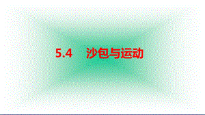 大象版四年級(jí)下冊(cè)科學(xué)5.4沙包與運(yùn)動(dòng)-課件.ppt