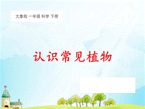 大象版一年級下冊科學2.1 認識常見植物-課件.ppt