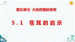 大象版五年級下冊科學5.1蒼耳的啟示-課件.pptx