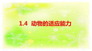 大象版四年級下冊科學(xué)1.4動物的適應(yīng)能力-課件.pptx
