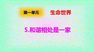 大象版四年級下冊科學1.5和諧相處是一家-課件.pptx