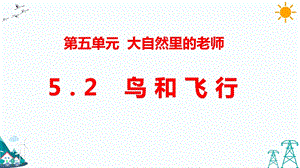 大象版五年級下冊科學5.2鳥和飛行-課件.pptx
