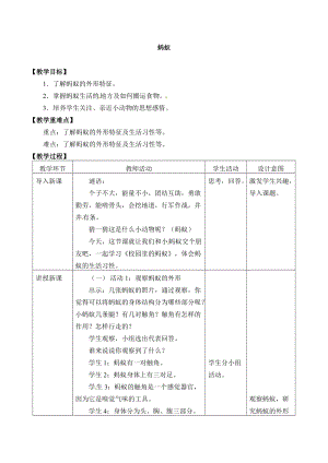 人教鄂教版二年級下冊科學3.7 螞蟻-教案2.docx