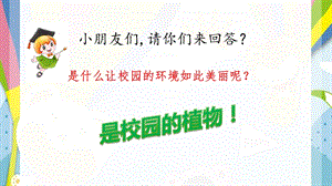 人教鄂教版一年級下冊科學3《觀察校園的植物》課件.pptx