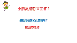 人教鄂教版一年級下冊科學(xué)3 觀察校園里的植物 課件（17張PPT）.pptx