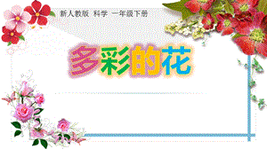人教鄂教版一年級下冊科學1.2多彩的花課件（10張ppt）.ppt