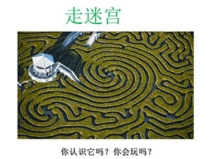 浙美版二年級(jí)上冊(cè)美術(shù)《走迷宮》課件2.ppt
