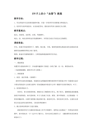 魯教版二年級上冊美術《葉子上的小“血管”》教案.doc