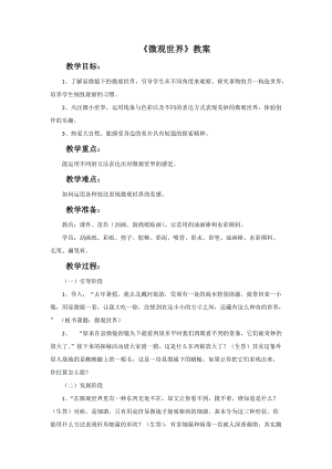 魯教版五年級上冊美術《微觀世界》教案.doc