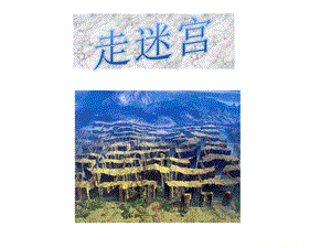 浙美版二年級上冊美術《走迷宮》課件1.ppt