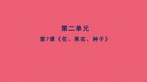 人教鄂教版三年級下冊科學7花、果實、種子課件(共13張PPT).pptx