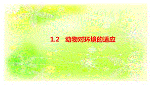人教鄂教版六下科學(xué)2動物對環(huán)境的適應(yīng)-課件.pptx