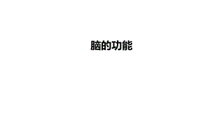人教鄂教版五年級下冊科學9-腦的功能-課件.pptx