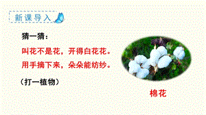 部編版一年級下冊語文18棉花姑娘教學(xué)課件.pptx