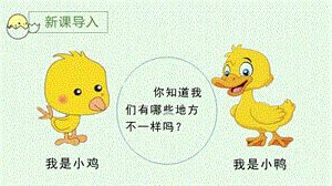 部編版一年級(jí)下冊(cè)語(yǔ)文4小公雞和小鴨子教學(xué)課件.pptx
