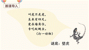 部編版一年級下冊語文20小壁虎借尾巴教學課件.pptx