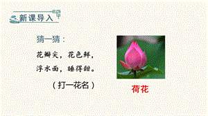 部編版一年級下冊語文小池 教學課件.pptx