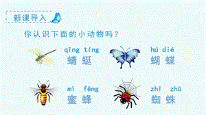 部編版一年級(jí)下冊(cè)語(yǔ)文識(shí)字5動(dòng)物兒歌教學(xué)課件.pptx