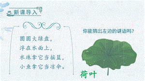 部編版一年級下冊語文12荷葉圓圓教學課件.pptx