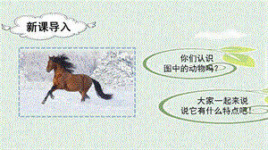人教部編版二年級下冊語文（教學課件）7.一匹出色的馬第1課時.pptx