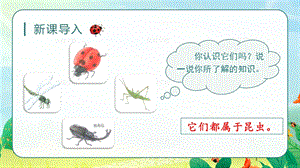 人教部編版三年級下冊語文（教學課件）4.昆蟲備忘錄.pptx