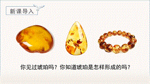 人教部編版四年級下冊語文（教學課件）5.琥珀.pptx