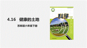 蘇教版六年級下冊課4.16健康的土地課件PPT.ppt