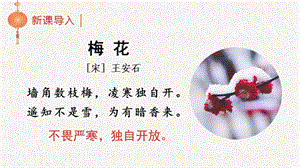 人教部編版五年級下冊語文（教學課件）4梅花魂.pptx