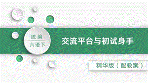 人教部編版六年級下冊語文交流平臺與初試身手（精華版課件）.pptx