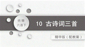 人教部編版六年級下冊語文10.古詩三首之馬詩（精華版課件）.pptx
