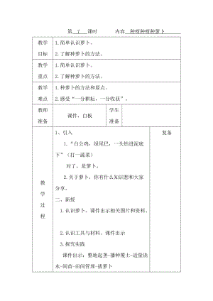 鄂教版三年級上冊勞動教育第7課 種呀種呀種蘿卜 教案（表格式）.docx