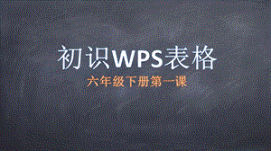 粵科版六年級下冊信息技術第1課認識WPS表格-課件.pptx