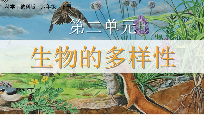 教科版六年級下冊科學2.1校園生物大搜索-課件+視頻素材.rar
