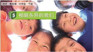 教科版六年級下冊科學2.5相貌各異的我們-課件.pptx