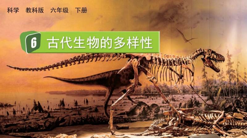 教科版六年級下冊科學2.6 古代生物的多樣性-課件+視頻素材.rar