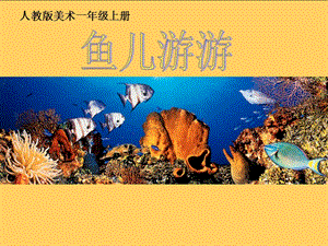 人教版一年級上冊美術(shù)魚兒游游2-課件.ppt