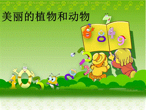 人教版一年級上冊美術美麗的植物和動物5-課件.ppt