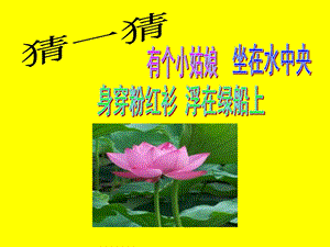 人教版一年級(jí)上冊(cè)美術(shù)花兒寄深情3-課件.ppt