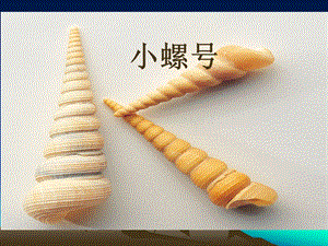 湘藝版一年級下冊音樂《小螺號》課件3.ppt
