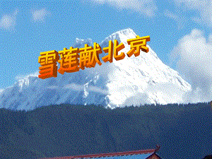 冀少版二年級上冊音樂《雪蓮獻北京》課件.ppt