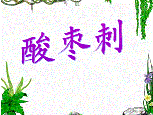 湘藝版三年級(jí)下冊(cè)音樂酸棗刺課件.ppt