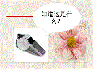 冀少版五年級下冊音樂《吹草哨兒》課件.ppt