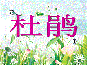 湘藝版四年級下冊音樂杜鵑課件.ppt