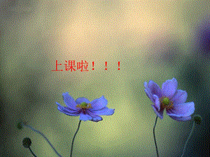 冀少版四年級(jí)下冊(cè)音樂(lè)童年的回憶課件.ppt