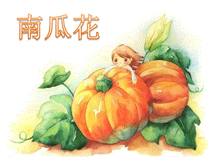 冀少版二年級下冊音樂《南瓜花》課件.ppt