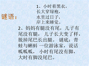 湘藝版一年級上冊音樂《青蛙媽媽》課件1.ppt
