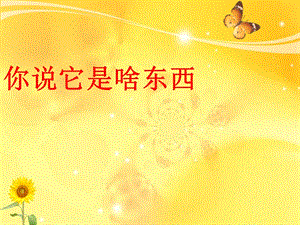 湘藝版一年級下冊音樂《你說它是啥東西》課件2.ppt