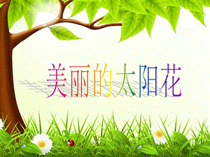 冀少版二年級下冊音樂美麗的太陽花課件.ppt