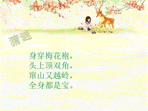 冀少版二年級下冊音樂《大鹿》課件.ppt