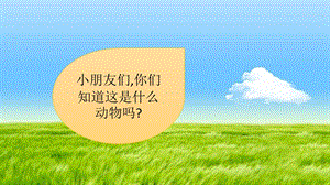 湘藝版一年級上冊音樂《獅王》課件1.ppt